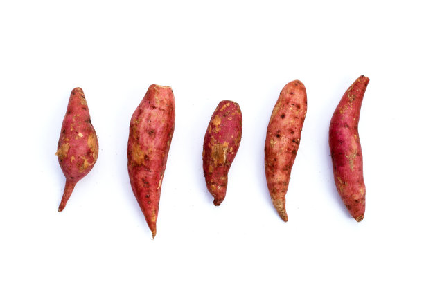 白底红薯。图片下载