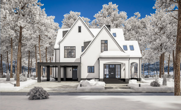 白色和黑色的现代都铎王朝的房子在冬季的3d渲染图片下载