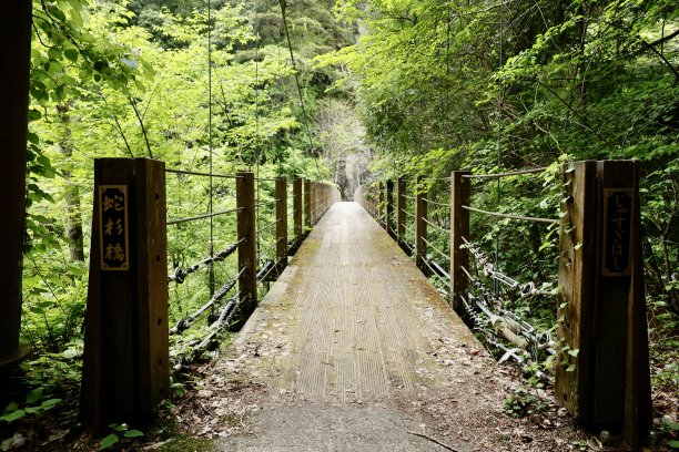 蛇雪松桥。日本广岛县的三团京峡谷。图片下载