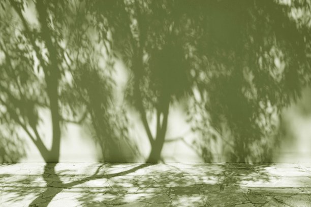 墙上和人行道上树木的影子。户外,自然。橄榄绿色。背景。模型。讲台。图片下载