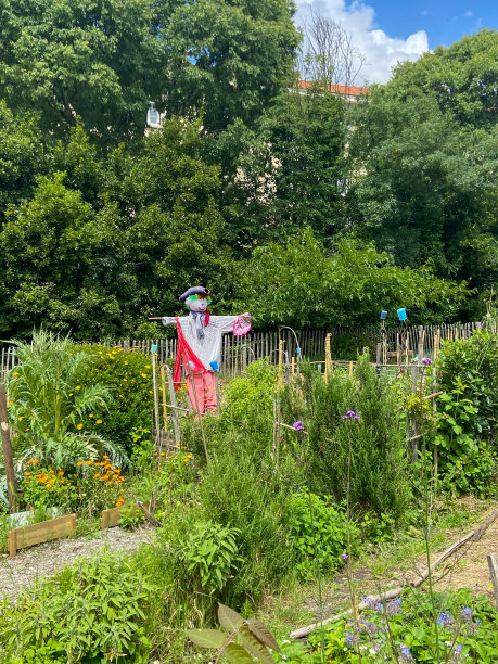 波尔多花园图片下载