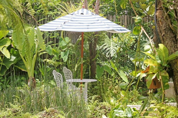 郁郁葱葱的热带花园中的椅子、桌子和遮阳伞图片下载