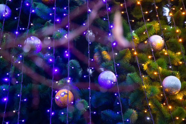 街道上的圣诞树作为背景图片下载