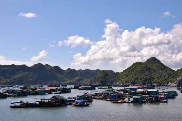 海湾里的渔船图片下载