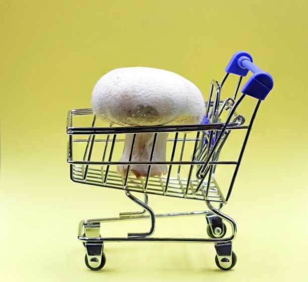 装有蘑菇的超市手推车或购物车图片下载