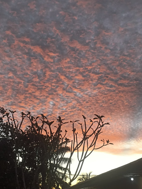 下午晚些时候图片下载