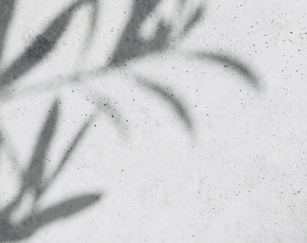 树叶遮蔽了自然。图片下载