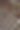 木制格子用来分隔不同的环境。图片下载