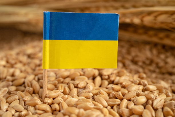 谷物小麦带有乌克兰国旗，贸易出口和经济概念。图片下载