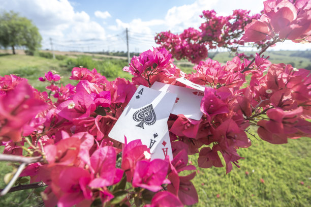 梅花，金，杯，棒和心的a，与花的背景，抽象的概念图片下载