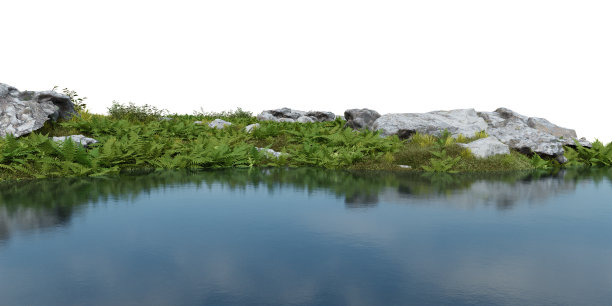 逼真的河岸植被。图片下载