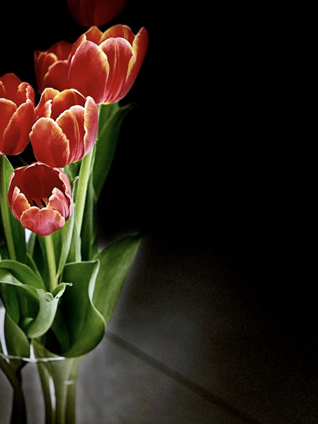 桌面视图郁金香花瓶背景-股票照片图片下载