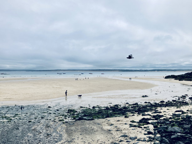 圣艾夫斯的岩石前海岸图片下载