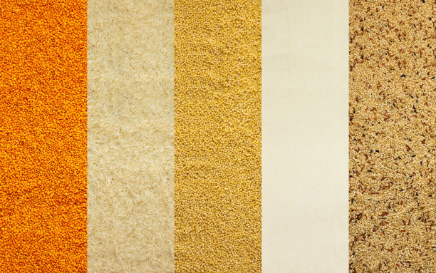 各种谷物横幅图片下载