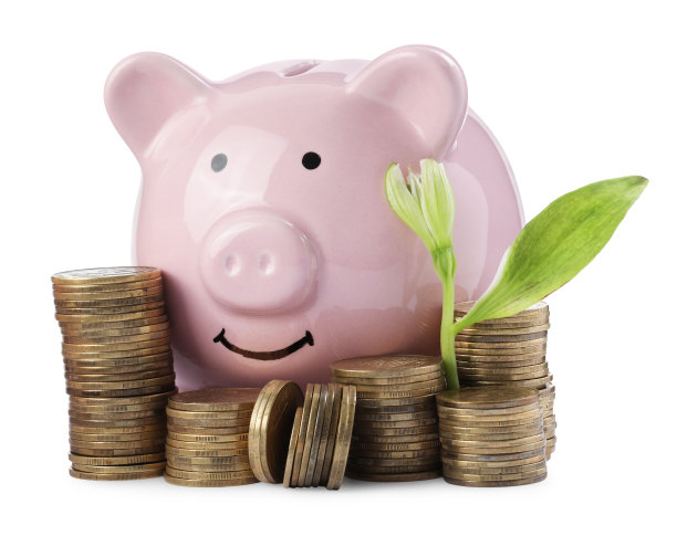 一堆硬币与花和小猪储蓄罐隔离在白色。投资理念图片下载