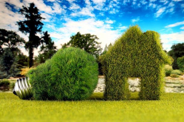 绿色生态灯泡和生态房子图标概念与草和蓝天的背景。可再生能源。电价降，节能在户。图片下载