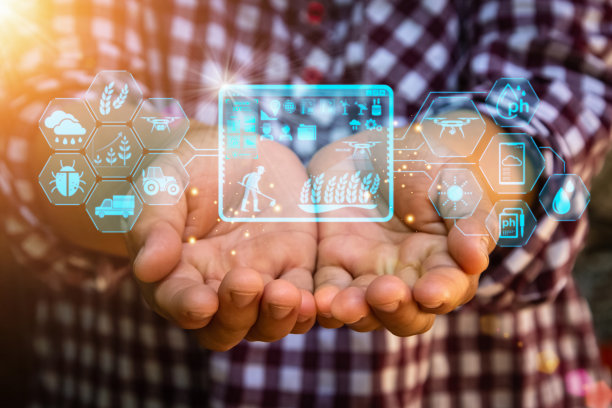 智能农业与物联网，种植植物种植与信息图表智能农业和精准农业产业与现代技术发展他的农场，以提高未来的生产力。图片下载