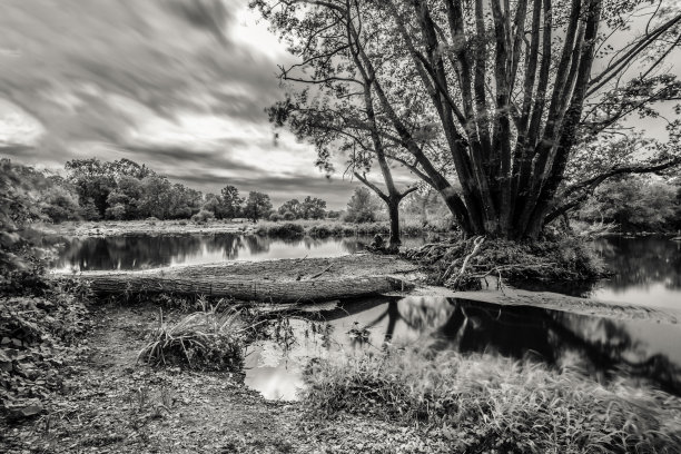长姿势与一棵树躺在身体的水图片下载