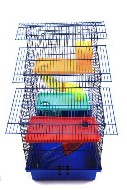 老鼠和其他小动物的笼子图片下载