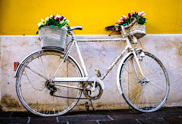 自行车——慕尼黑街道上的自行车图片下载