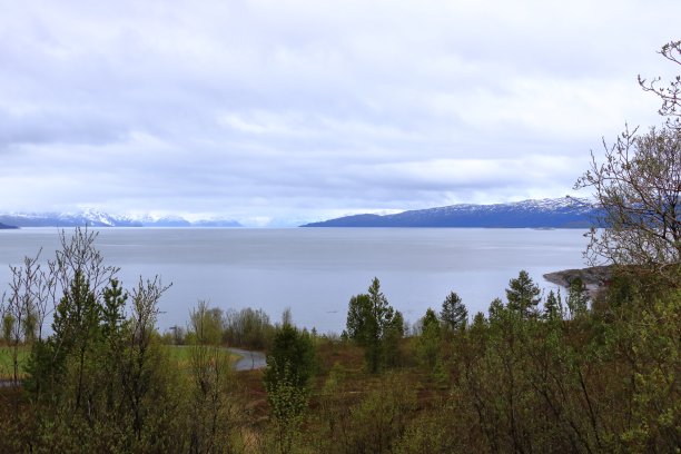 美丽的风景图片沿海岸在阿尔塔，挪威与美丽的山脉在大海的背景在夏天图片下载