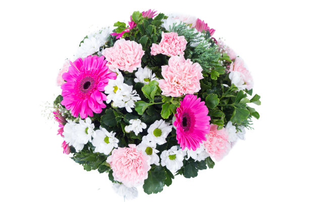 白色背景上的花圈图片下载