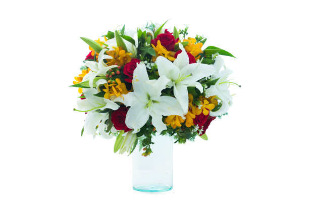 白色背景上的花圈图片下载