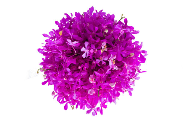 白色背景上的花圈图片下载