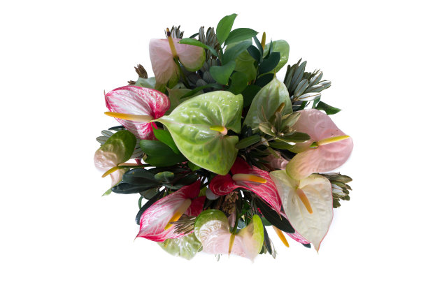 白色背景上的花圈图片下载