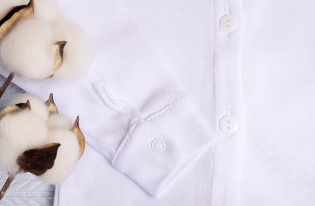 婴儿紧身衣蓝弓干棉奶嘴和超声波图片。待产概念图片下载