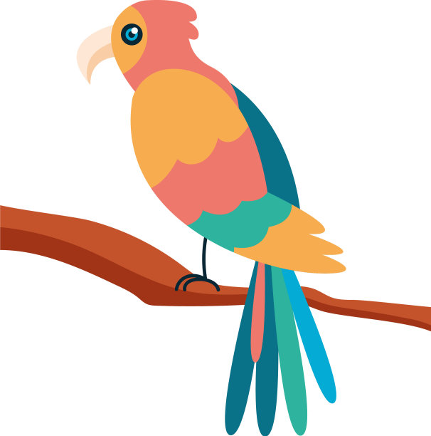 五颜六色的鸟栖息在树枝上图片下载