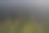 靠近湖背景的草图片下载
