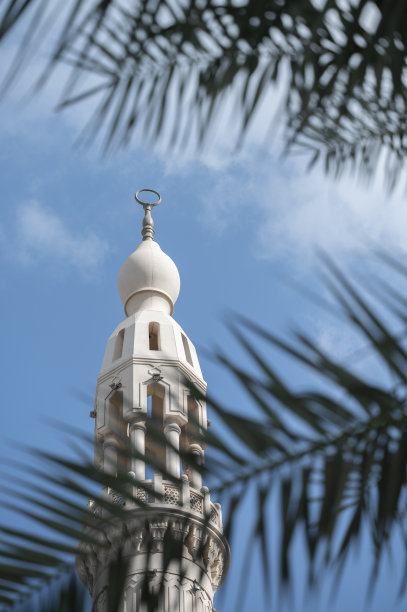 迪拜清真寺图片下载