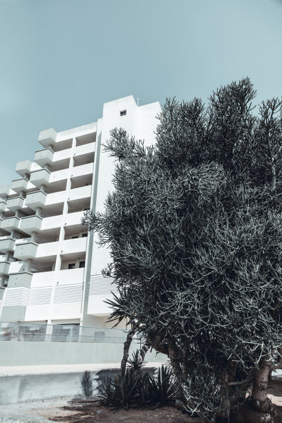 伊比沙岛的老式建筑图片下载