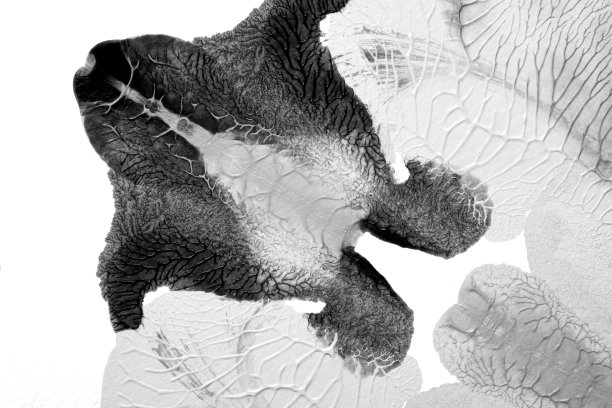 用罗夏墨迹法在白纸背景上画黑白抽象丙烯色纹理图片下载