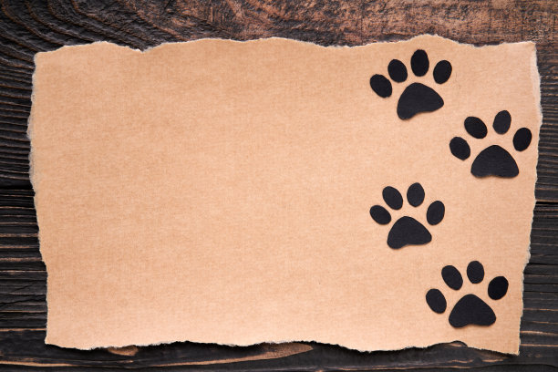 爪印图标上的工艺纸与撕裂的边缘，纸艺术风格。动物之爱的概念，贺卡，邀请模型图片下载