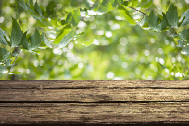 木质桌子与森林散景背景图片下载