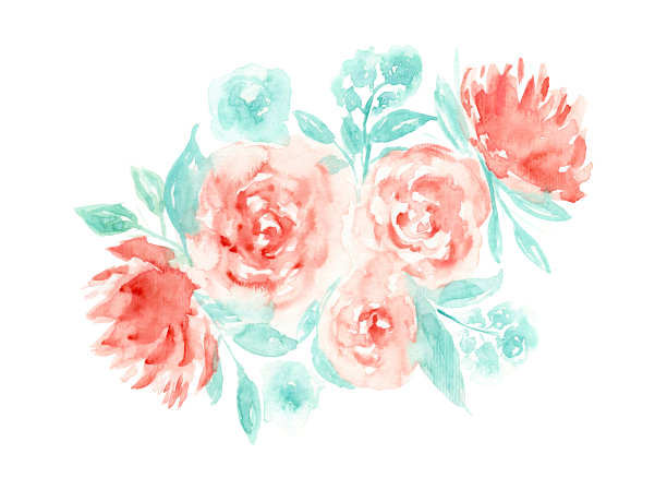 精致的水彩画红牡丹绿叶图片下载