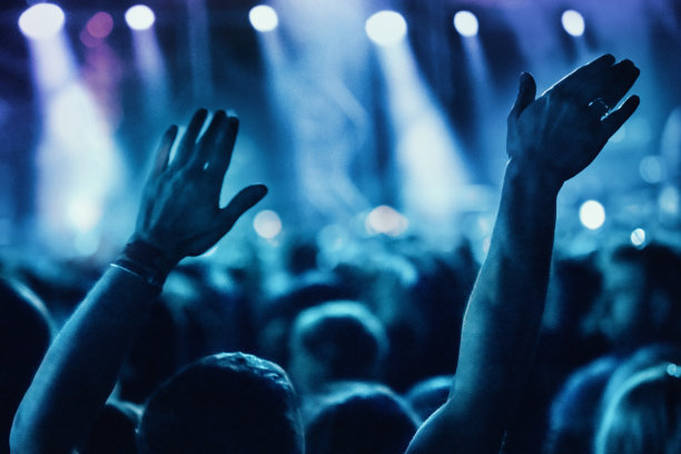 一大群人参加音乐会。图片下载