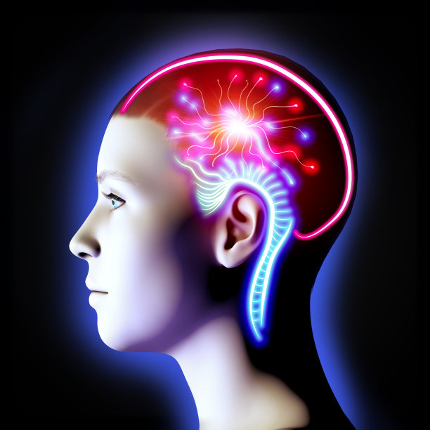 大脑侧面图。运动皮层是大脑皮层中与自主运动的计划、控制和执行有关的区域。女孩。3d渲染图片下载