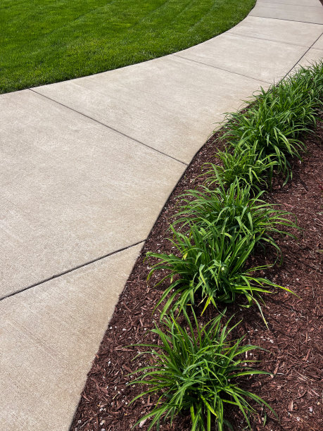 弧形人行道与景观图片下载