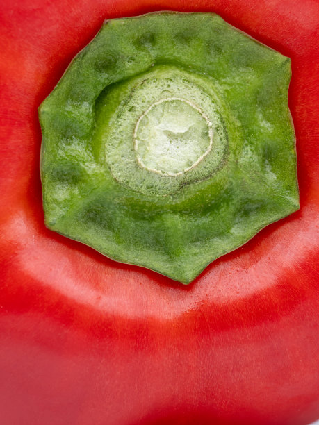 红甜椒的茎部特写图片下载