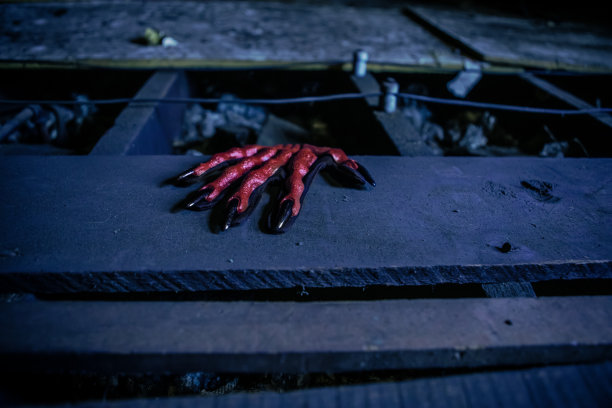 令人毛骨悚然的怪物手在阁楼地板上图片下载