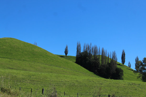新西兰图片下载