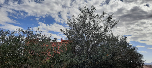 蓝天景观图片下载