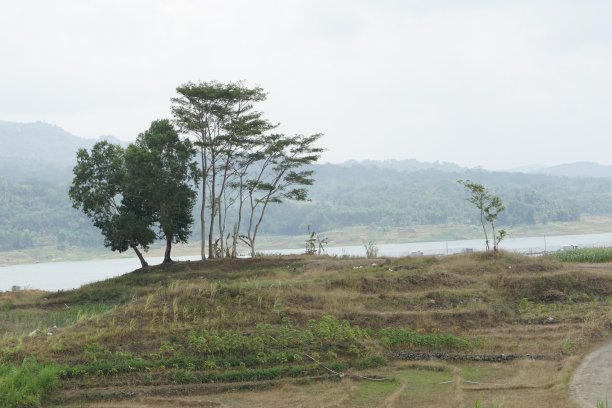 村里的自然照片图片下载
