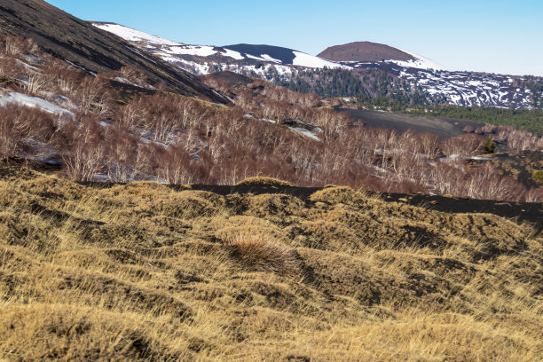 埃特纳-在欧洲意大利西西里岛卡塔尼亚的埃特纳火山上，金黄色的干草可以欣赏到风景图片下载