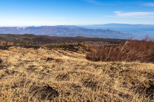 埃特纳-在欧洲意大利西西里岛卡塔尼亚的埃特纳火山上，金黄色的干草可以欣赏到风景图片下载