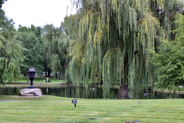 波士顿公共花园图片下载