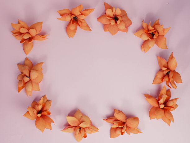 花组成。框架制成的橙色干花在柔和的粉红色背景。平铺，俯视图，复制空间图片下载